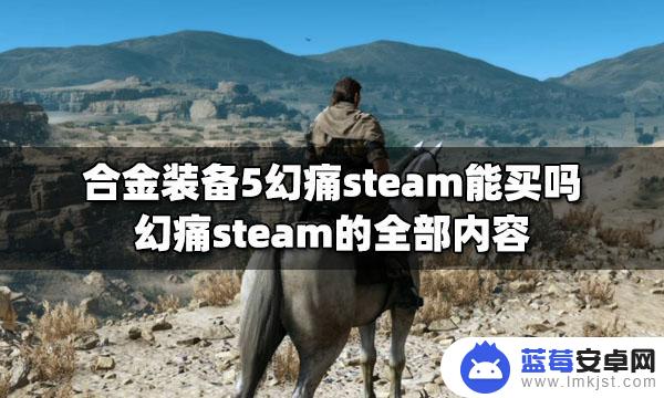 幻痛在steam steam平台能买到合金装备5幻痛吗