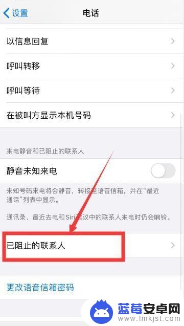 怎么设置苹果手机未知来电 苹果手机IOS13接听未知来电静音设置