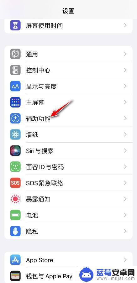 怎样调大苹果手机app里的字体 iPhone单独设置app字体大小方法