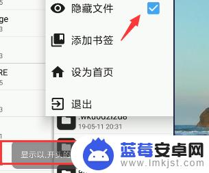 怎么找出手机隐藏的文件夹 查看手机中的隐藏文件步骤