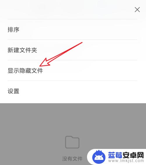 手机怎么设置单个文件显示 安卓手机隐藏文件显示教程
