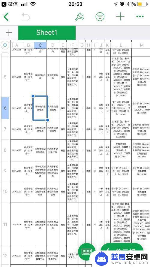 苹果手机xls怎么打开 如何用iPhone或iPad打开Excel电子表格