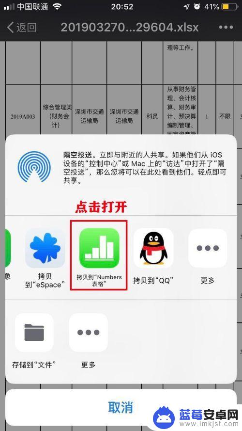 苹果手机xls怎么打开 如何用iPhone或iPad打开Excel电子表格