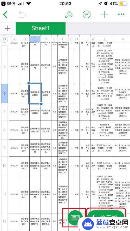 苹果手机xls怎么打开 如何用iPhone或iPad打开Excel电子表格