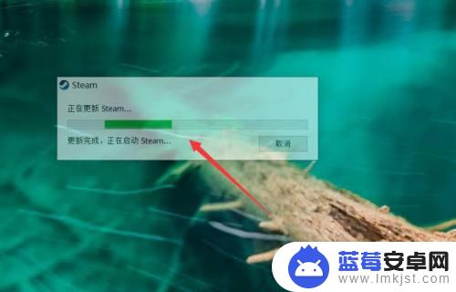 steam海盗之海怎么登陆 盗贼之海Steam版怎么登录