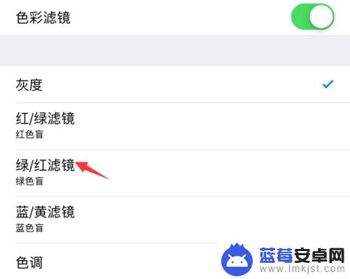 苹果手机滤镜干净怎么设置 苹果iPhone手机如何打开色彩滤镜设置
