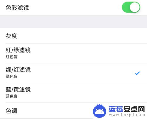 苹果手机滤镜干净怎么设置 苹果iPhone手机如何打开色彩滤镜设置