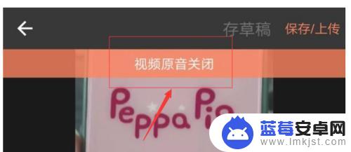 手机录视频如何把原声关掉 怎样在手机上去除自己录的视频的声音