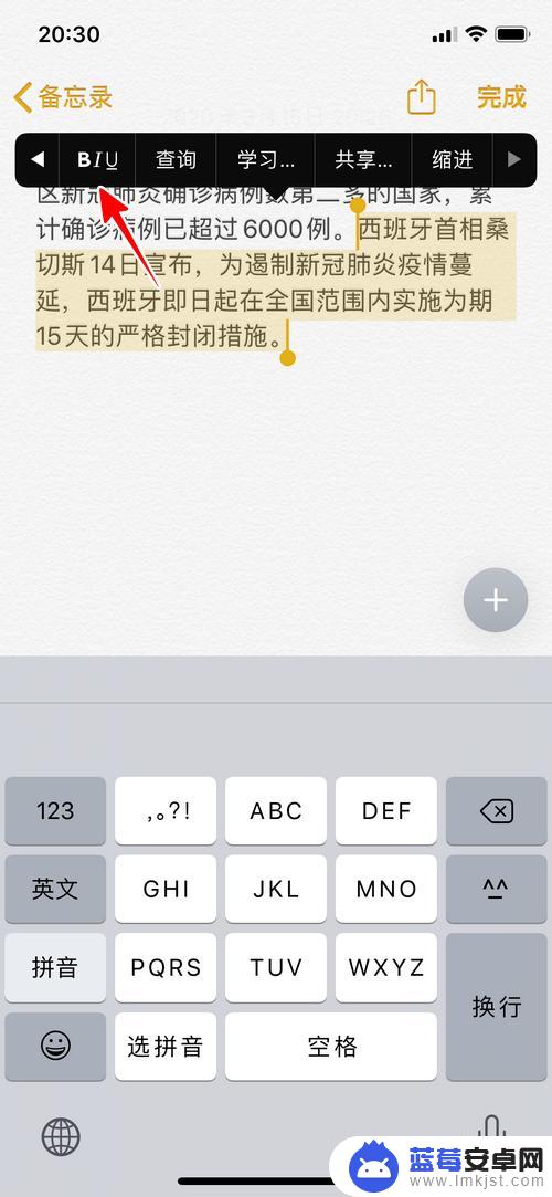 iphone备忘录怎么弄成字都一样 苹果手机备忘录字体格式设置方法