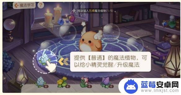 奥比岛怎么弄魔法植物 魔法植物获得攻略奥比岛手游