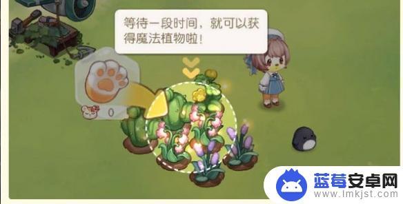 奥比岛怎么弄魔法植物 魔法植物获得攻略奥比岛手游