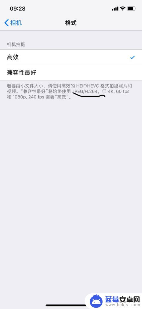 手机拍照照片太大怎么办 苹果手机拍照格式大小设置方法