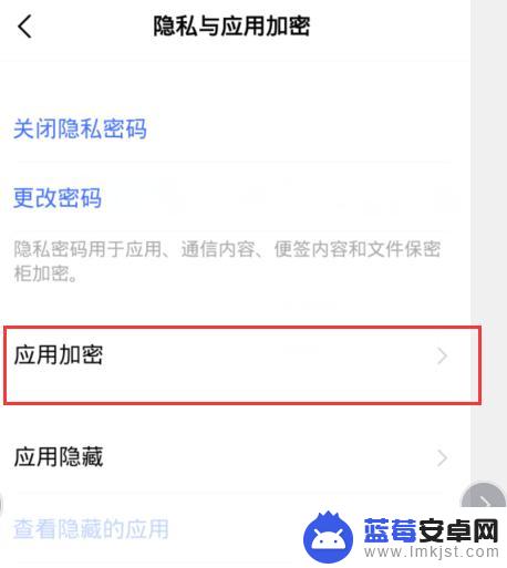 vivo手机怎么应用加密 vivo手机如何启用应用加密功能