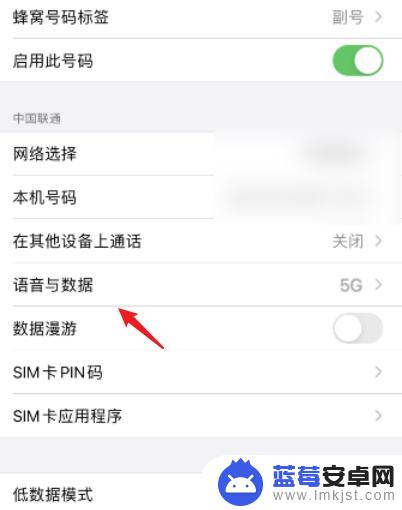 如何关闭关掉苹果手机 苹果手机怎么关闭5g网络连接
