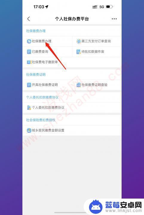 在手机上怎么缴纳合作医疗 合作医疗费用如何在手机上支付