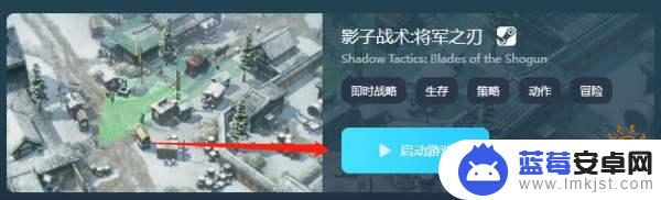 王国新大陆steam价格 王国新大陆价格多少钱