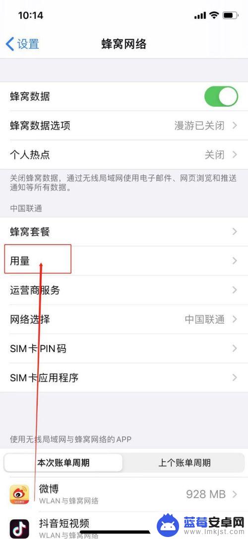苹果手机怎么看使用多少流量 苹果手机怎么检查流量使用情况