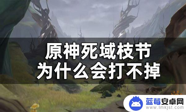 原神死域枝节打不死 原神死域枝节为什么打不掉