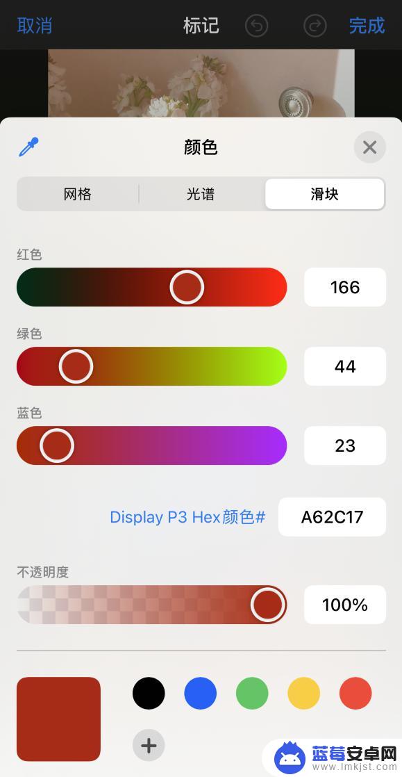 手机相机怎么设置涂鸦照片 iPhone 12 照片涂鸦技巧分享