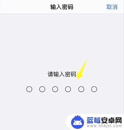 苹果手机不显示5g信号怎么办 iphone13 5G信号无法显示怎么办