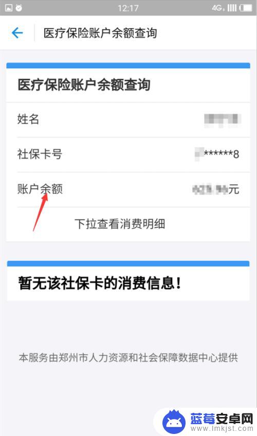 手机查社保卡余额怎么查询支付宝 使用支付宝查询社保卡余额步骤