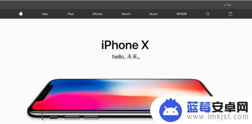 苹果手机的id密码忘了咋办 Apple ID密码忘记了怎么恢复