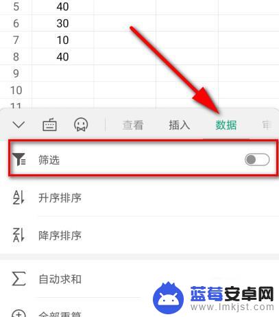 如何用手机进行excel筛选 如何在手机上使用Excel的筛选功能