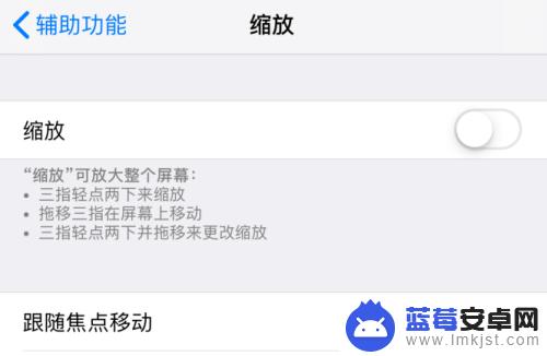 苹果手机放大器如何取消 怎样关闭苹果iPhone手机的缩放功能