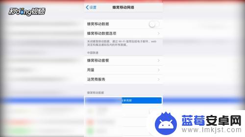 苹果手机移动数据如何开关 苹果手机如何开启和关闭移动数据