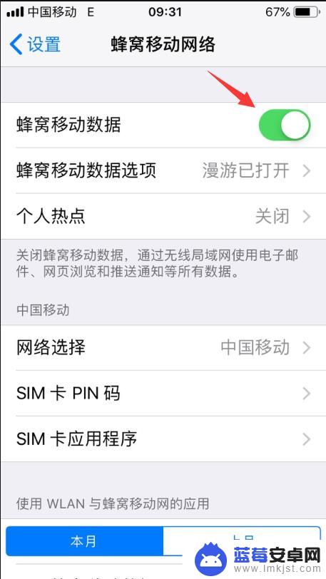 接入互联网登录id是啥意思 苹果手机如何接入互联网登陆iPhone