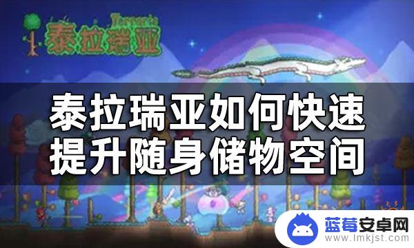 泰拉瑞亚随身携带的背包 泰拉瑞亚随身储物空间提升道具获取方法