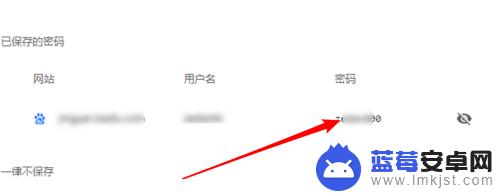 已存密码在哪找浏览器 怎样在浏览器里看到保存的密码