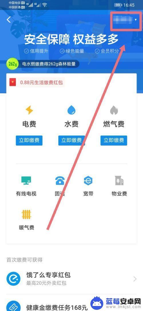 如何在手机上给孩子交社保 支付宝如何为孩子交社保