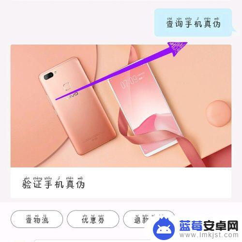 vivo官网imei查询入口 vivo官网手机真伪查询流程