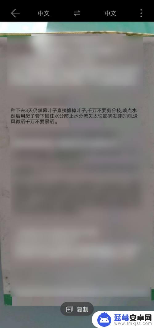 如何识别手机中的相机拍照 华为手机相机识别文字步骤