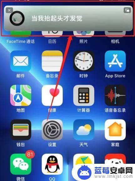 苹果手机网易云怎么打开桌面歌词 iPhone怎么在网易云音乐上开启桌面歌词显示