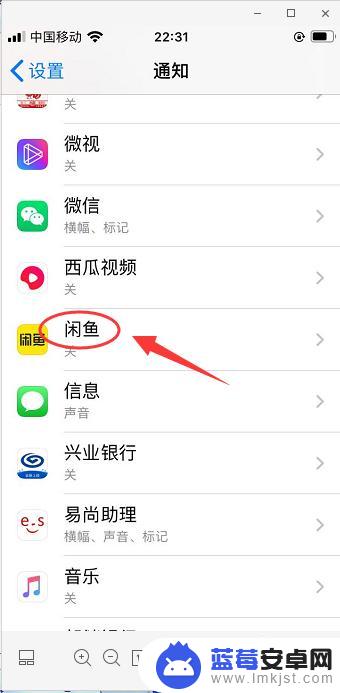 苹果手机闲鱼声音怎么设置 如何在iPhone 6s上开启闲鱼声音通知