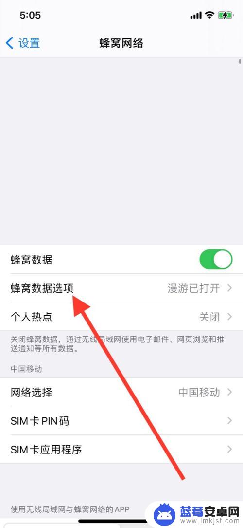 苹果手机漫游打开和关闭在哪 苹果手机关闭数据漫游的步骤
