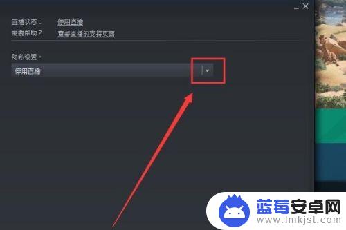 steam 实况直播设置 Steam如何开直播教程