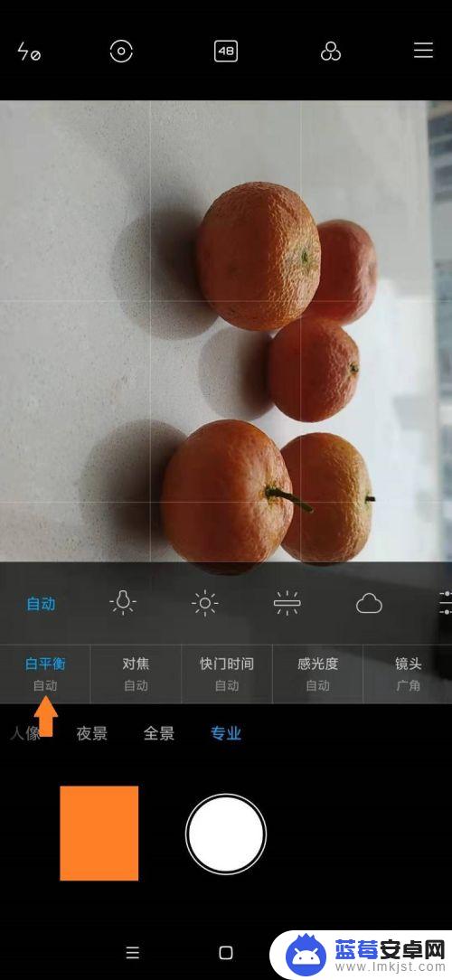 红米手机拍照怎么设置白点 小米手机专业模式拍照技巧