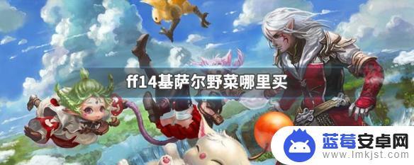 ff14基萨尔野菜怎么获得 ff14基萨尔野菜怎么买