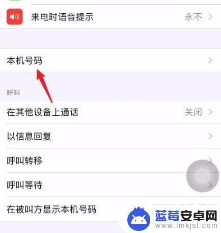 苹果手机查看本机号码怎么查 iPhone看自己手机号的步骤