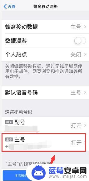 苹果手机如何设置单卡关机 iPhone XR/xs max关闭一张卡的步骤