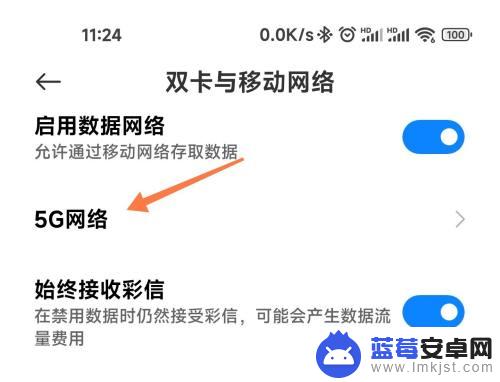 小米5g开关在哪里打开 小米手机5G开关在哪个设置选项