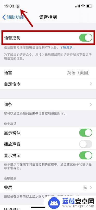 iphone有个麦克风图标 苹果手机麦克风标志怎么关闭