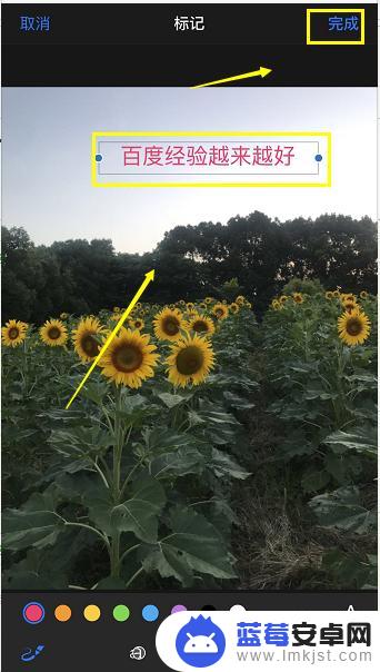 苹果手机相册编辑怎么添加文字 iPhone照片编辑功能怎么添加文字