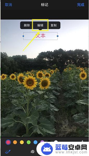 苹果手机相册编辑怎么添加文字 iPhone照片编辑功能怎么添加文字