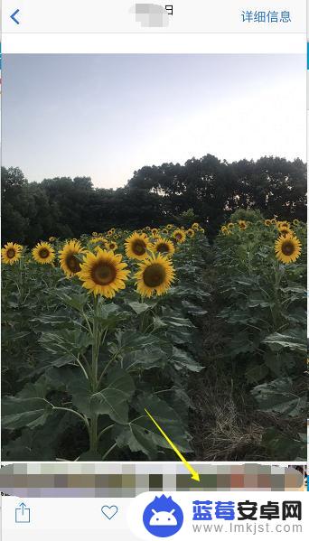 苹果手机相册编辑怎么添加文字 iPhone照片编辑功能怎么添加文字