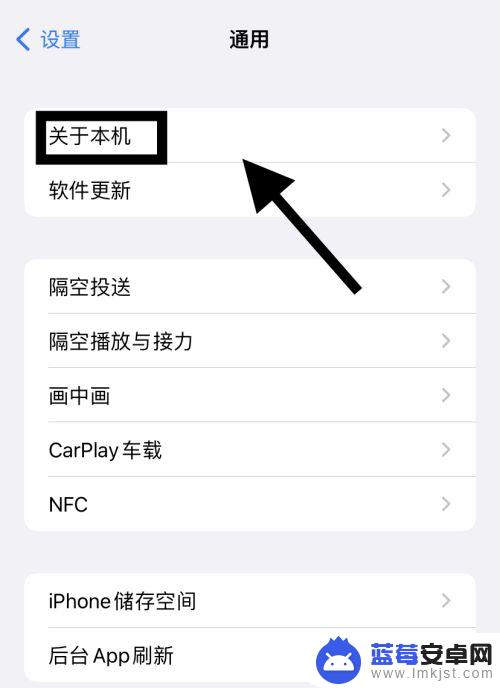 怎么给自己的iphone取名字 iPhone自定义手机名称方法