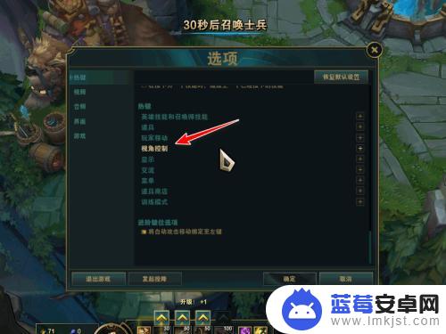 英雄联盟怎么固定视野 英雄联盟固定视角调整方法